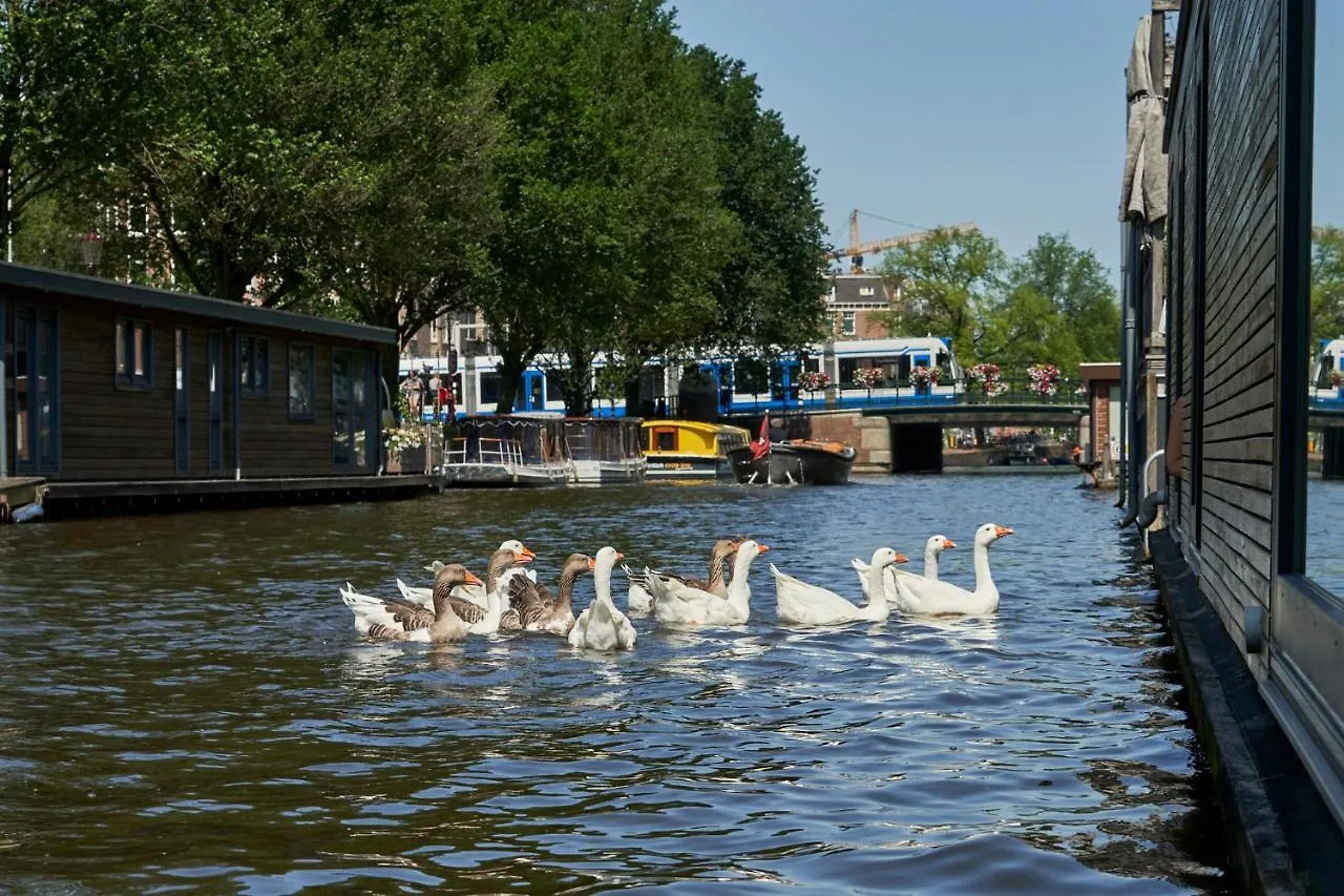 The Amsterdam Houseboat Family - De Pijp Apartment
